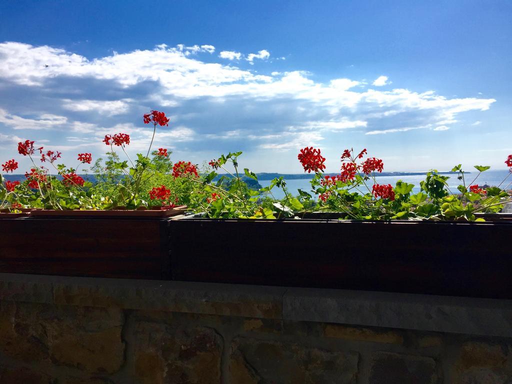 波尔托罗Istrian House公寓 外观 照片